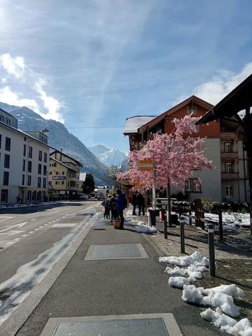 New.. Matten Central Family Suite, Sleeps 4 Matten bei Interlaken Exterior photo